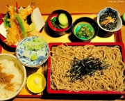 Como Fazer Comida Japonesa (1)