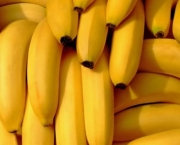 Banana Prata Prende O Intestino (8)