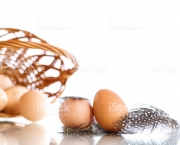 guinea fowl eggs and feathers on a white background
