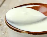 Fazer Iogurte Grego Caseiro (12)