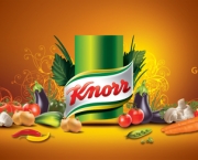 Knorr (2)