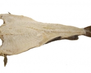 O Bacalhau e sua Origem (4)