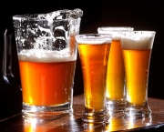 Os Diferentes Sabores de Cerveja (16)