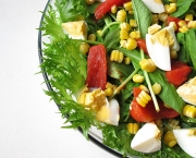 Saladas para o Verao (2)