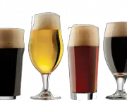 Tipos e Cultura da Cerveja (1)