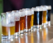 Tipos e Cultura da Cerveja (2)