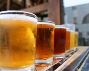 Tipos e Cultura da Cerveja (10)