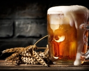 Tipos e Cultura da Cerveja (14)