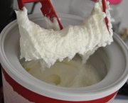Como Fazer Frozen Iogurte (15)