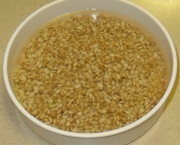 arroz-integral (3)