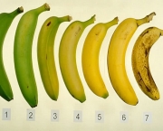 Banana Prata Prende O Intestino (4)