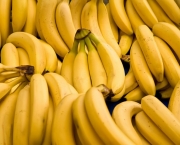 Banana Prata Prende O Intestino (16)