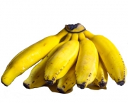 Benefícios da Banana Prata (7)