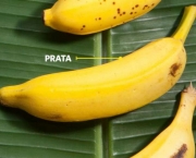 Benefícios da Banana Prata (12)