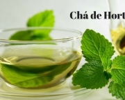 Chá de Hortelã é Bom para Cólica Intestinal (15)