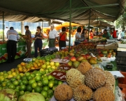 Economize ao Fazer a Feira (10)