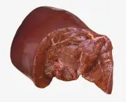 Fígado de Porco - Benefícios (8)