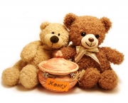 teddy-bears & honey