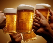 Os Diferentes Sabores de Cerveja (3)