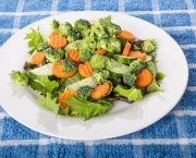 Salada de Pepino e Cenoura Agridoce (2)