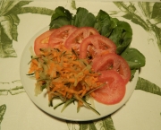 Salada de Pepino e Cenoura Agridoce (6)