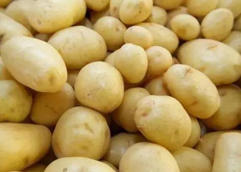 Batatas 