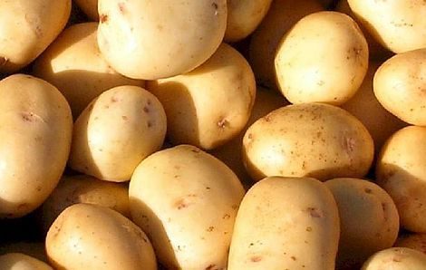 Congelar Batatas